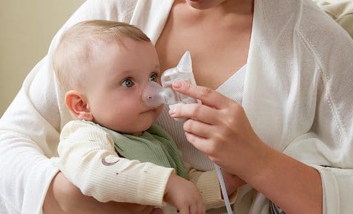 mouche bébé