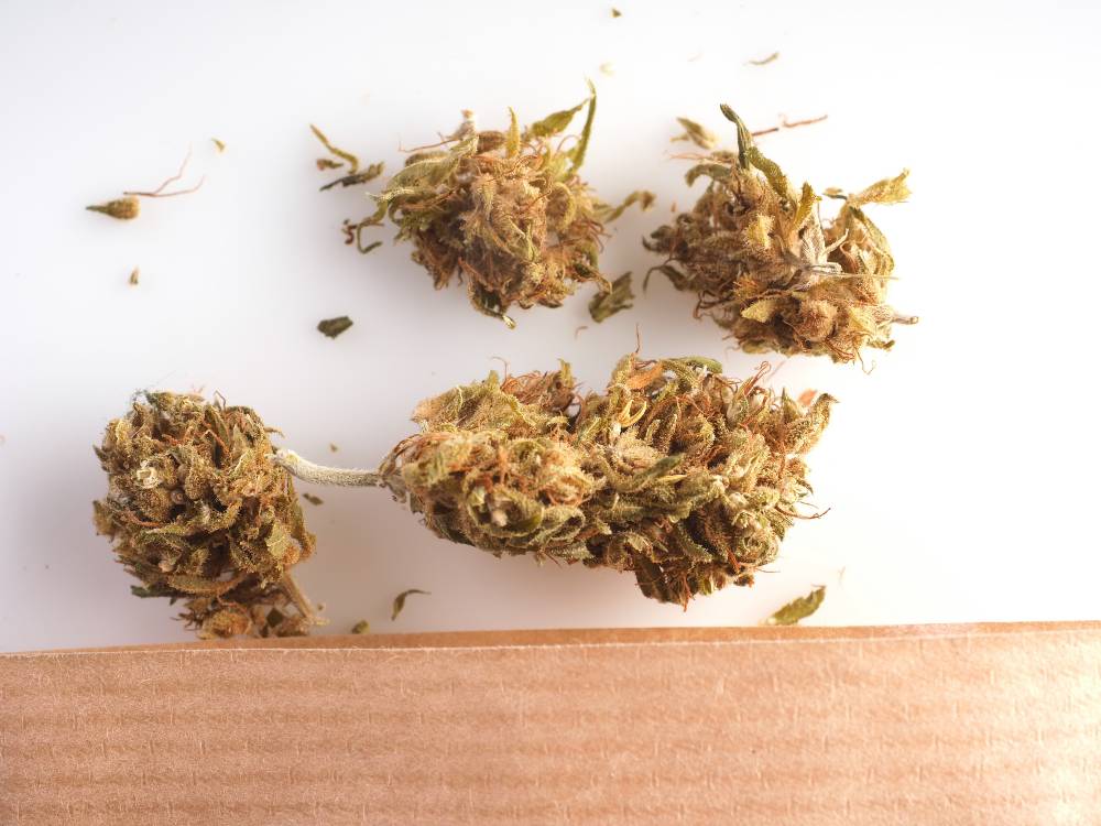 fleurs de CBD analysées en laboratoire